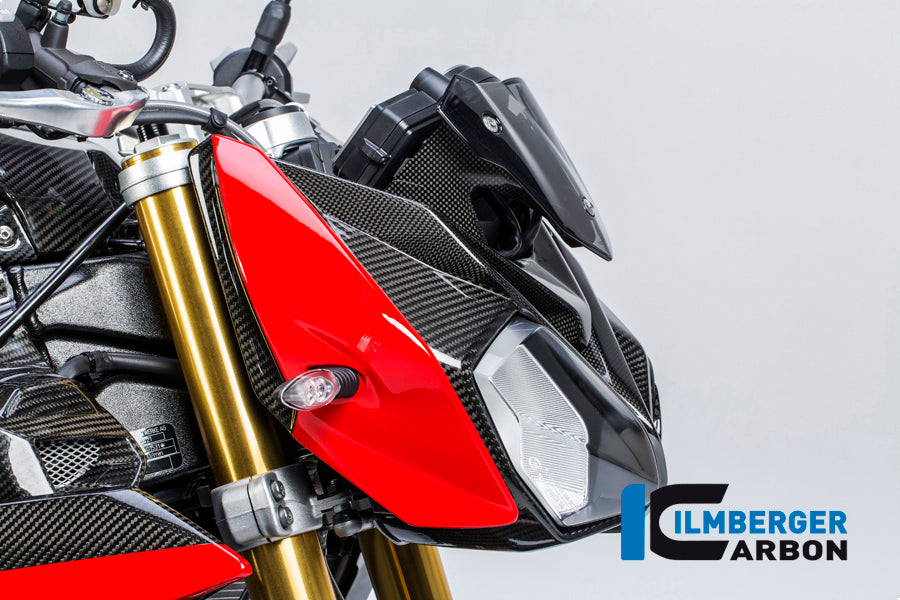 Panneau de phares en carbone droit BMW S1000R (2017-2020)