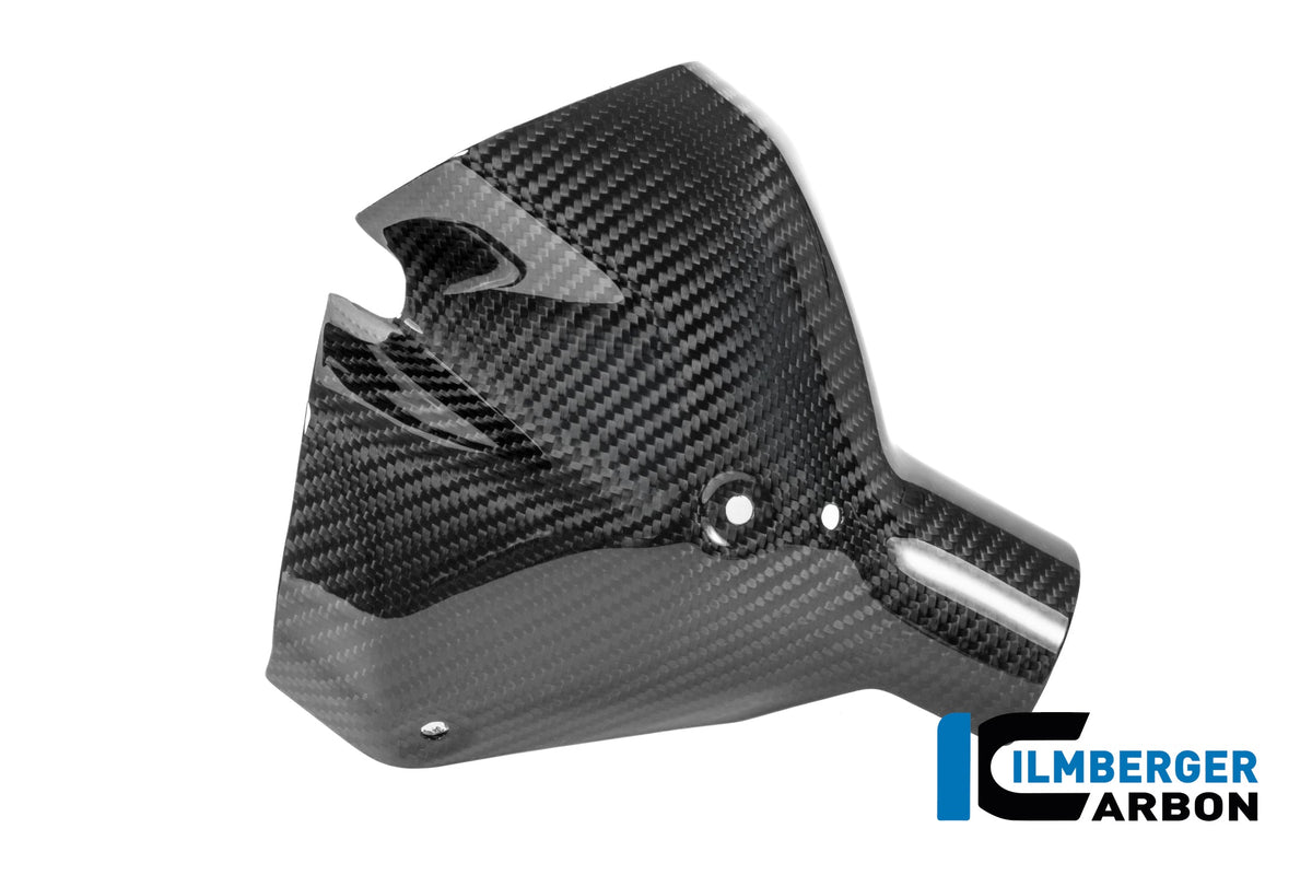 Uitlaat hitteschildset carbon hoogglans BMW R1300RS Performance (2025+)