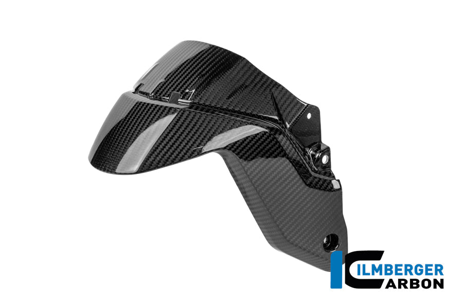 Voorspatbord carbon hoogglans BMW R1300R Option 719 Kilauea (2025+)