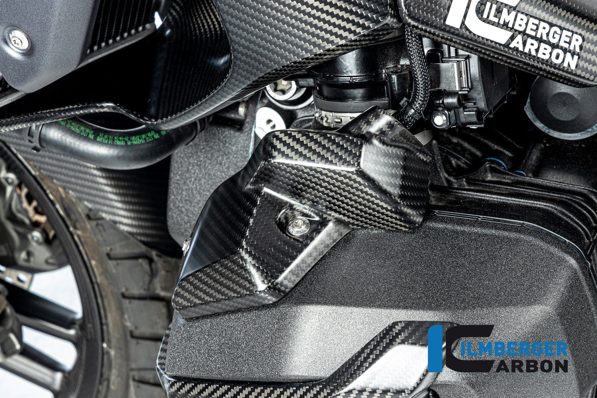 Injector Cover links mat carbon BMW R1300GS Adventure Option 719 Karakorum 2024+