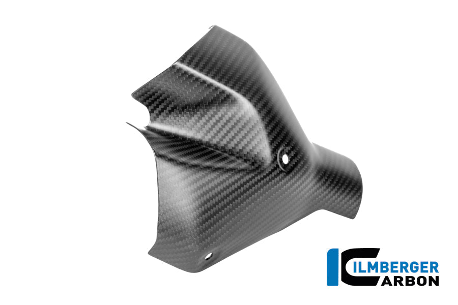 Uitlaat hitteschildset carbon mat BMW R1300RS Option 719 Cuyamaca (2025+)