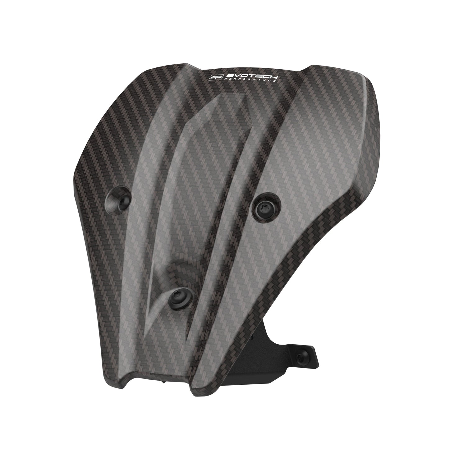 Windscherm Flyscreen Evotech - BMW F 900 R Sport (2025+) (Carbon Fibre)