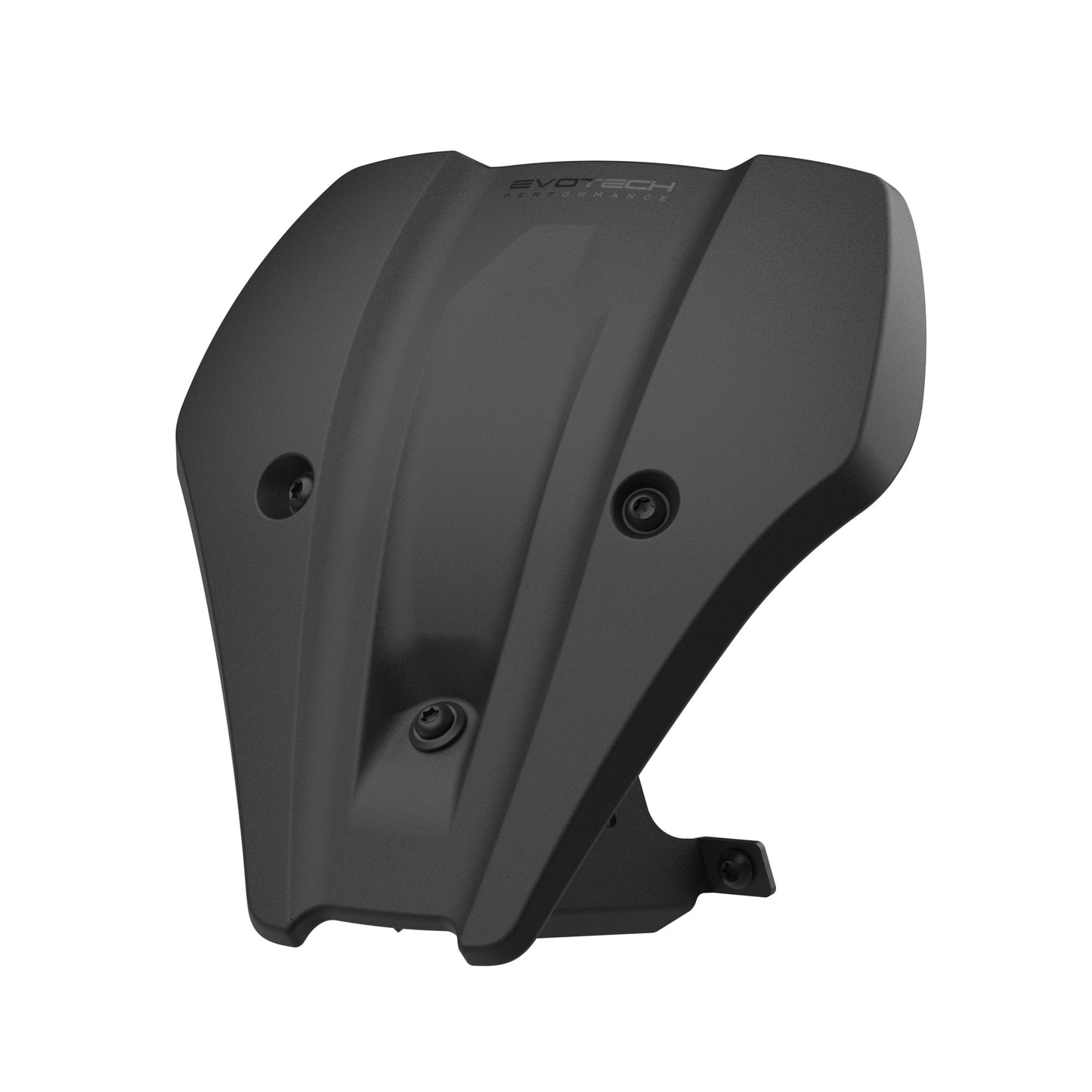 Windscherm Flyscreen Evotech - BMW F 900 R (2025+)
