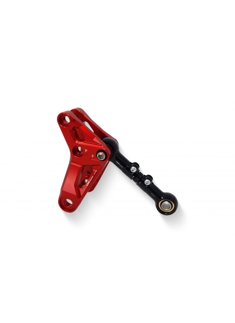 Kit de culbuteur à suspension arrière et de tige Ducati Panigale 899 959 1199 1299 V2 Ducati Panigale 1299 S (2015-2017)