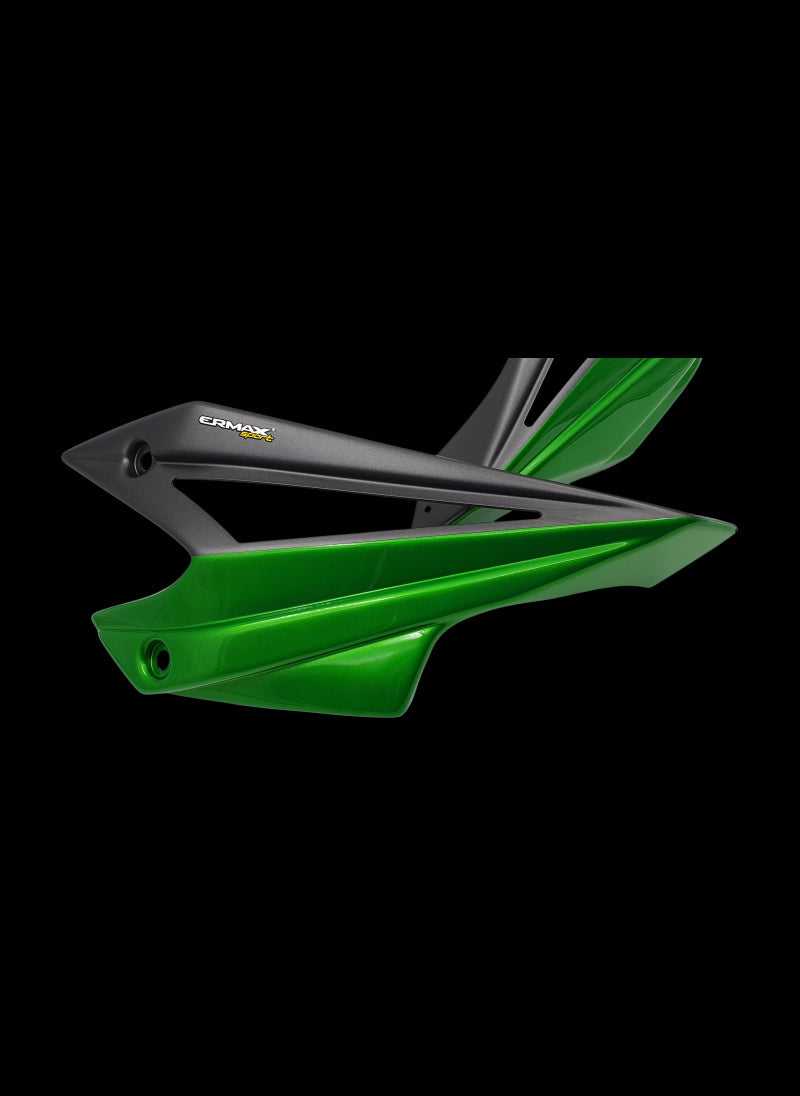 Ermax bellypan (motorspoiler) Kawasaki Kawasaki Z1100 SE (2026+)