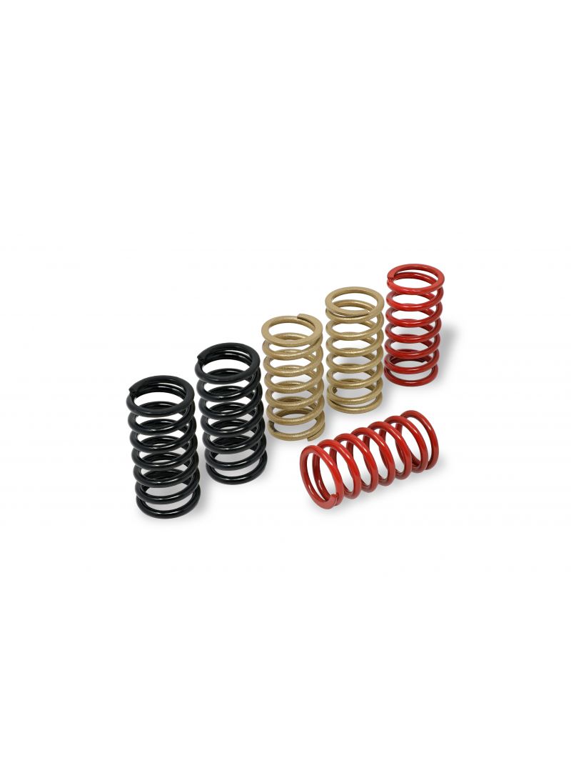 Clutch Springs MV Agusta Dragster 800 Rosso E4 (2020)