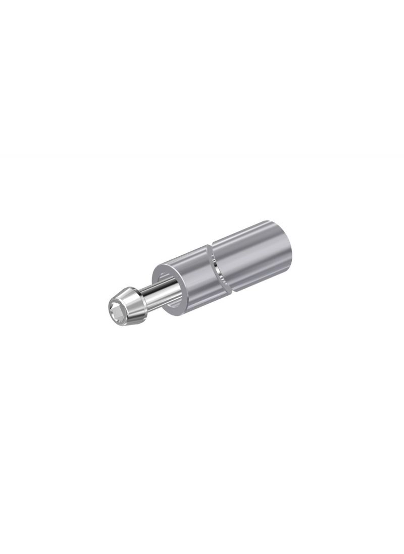 Adapter voor Rem- of Koppelingshendel Beschermer Ducati Streetfighter V4S (2025+)
