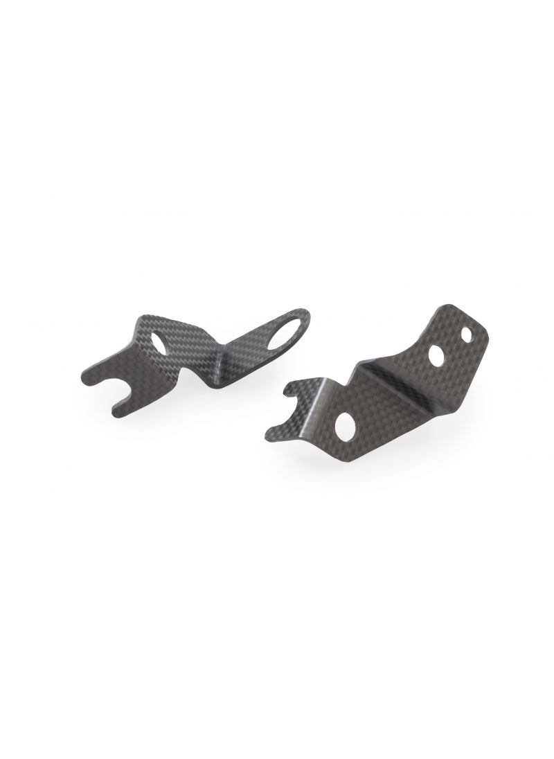 Matt Carbon Free Frein et supports de réservoir d'huile d'embrayage (2 pcs.) Monster 1200 Streetfighter V4 Ducati Streetfighter V4 S (2020-2022)