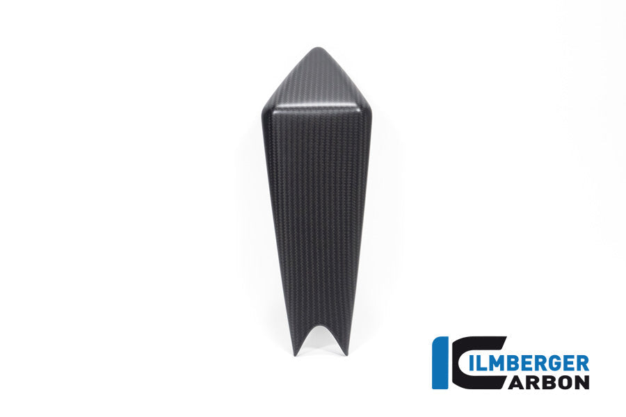 Mono seat mat carbon Aprilia RSV4 Factory (2025+)