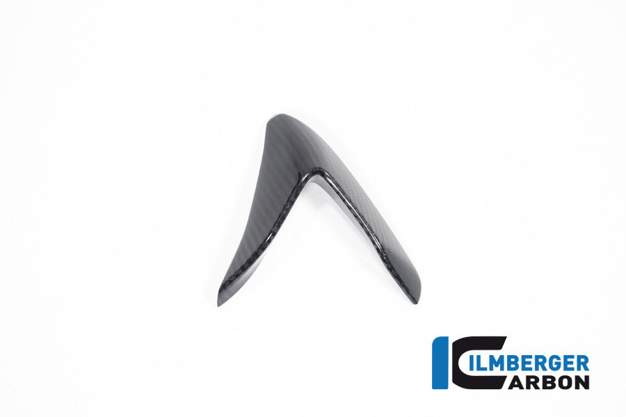 Winglet Kit links glanzend carbon Aprilia RSV4 (2021+)