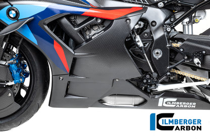 Frame beschermer (links) mat carbon - BMW M 1000 RR Street (2025+)