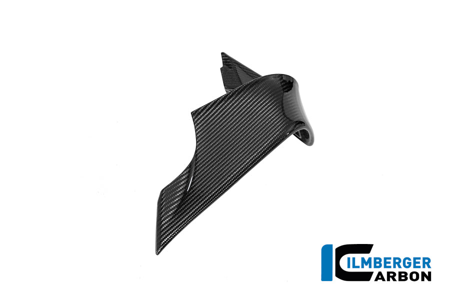 Winglet links glanzend carbon BMW M 1000 RR Street (2025+)