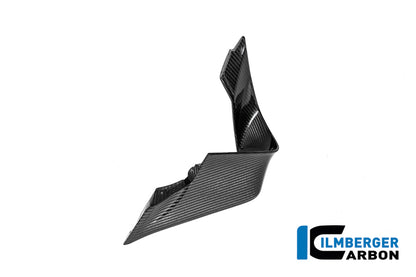 Winglet links glanzend carbon BMW M 1000 RR Street (2025+)