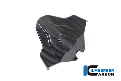 Monoposto siège unité de carbone brillant M1000RR 2023+ BMW M 1000 RR (2023+)
