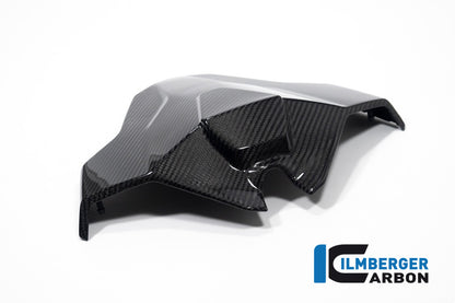 Monoposto siège unité de carbone brillant M1000RR 2023+ BMW M 1000 RR (2023+)