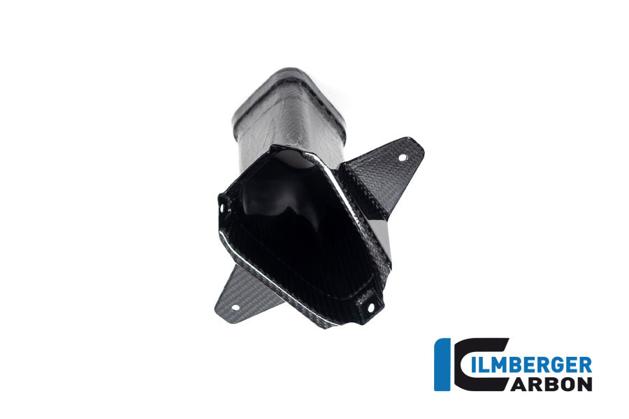Amélioration de l'air à l'avant Familing Glossy Carbon M1000RR 2023+ BMW M 1000 RR (2023+)