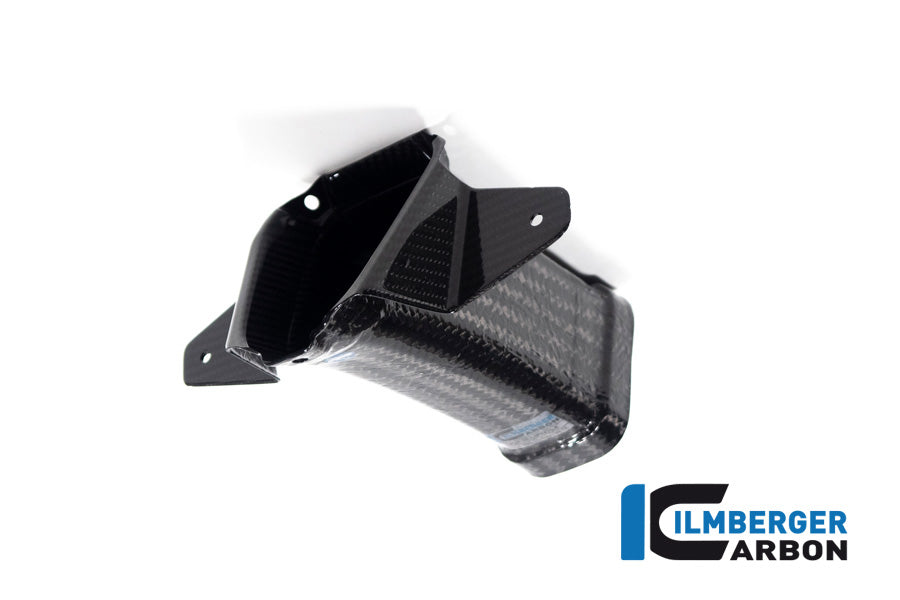 Amélioration de l'air à l'avant Familing Glossy Carbon M1000RR 2023+ BMW M 1000 RR (2023+)