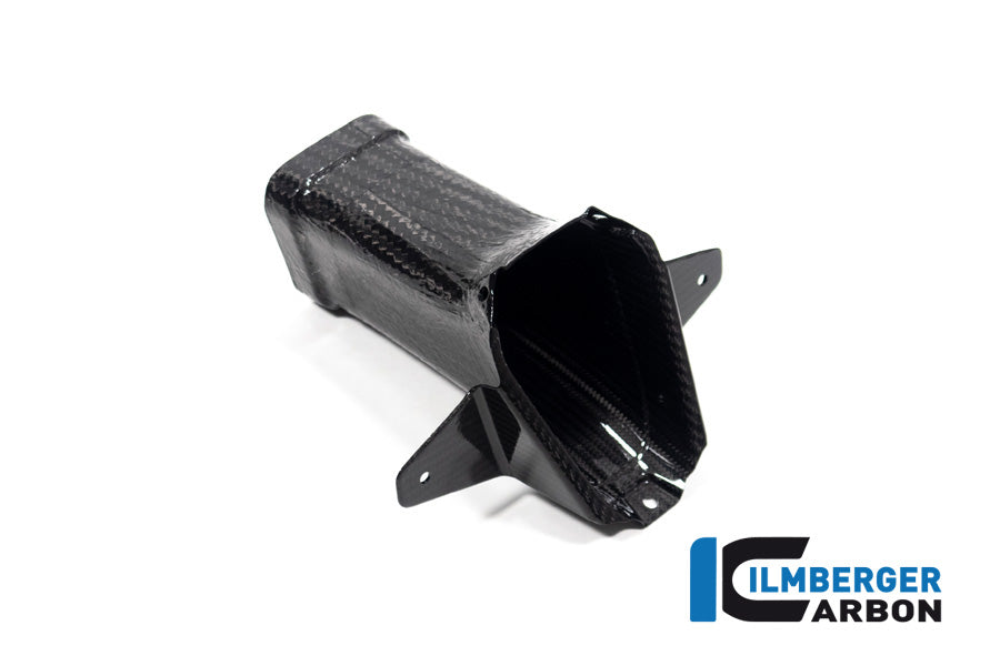 Amélioration de l'air à l'avant Familing Glossy Carbon M1000RR 2023+ BMW M 1000 RR (2023+)