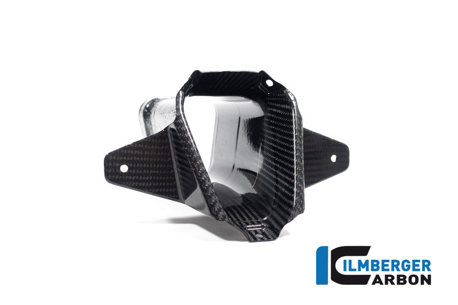 Amélioration de l'air à l'avant Familing Glossy Carbon M1000RR 2023+ BMW M 1000 RR (2023+)
