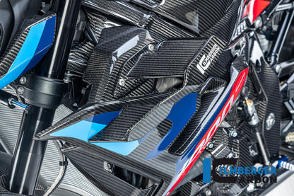 Winglet links glanzend carbon BMW M 1000 R (2025+)