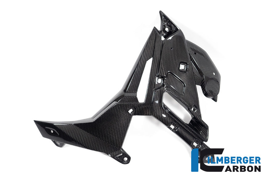 Radiator Cover links glanzend carbon BMW M 1000 R (2025+)
