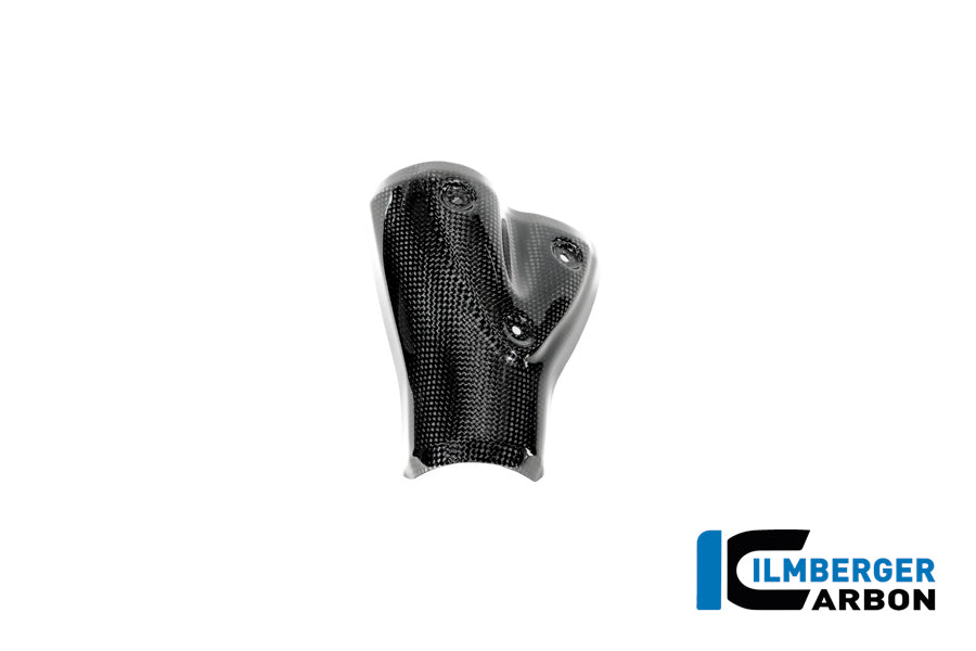 Uitlaat hitteschild glanzend carbon carbon BMW R12S (2025+)