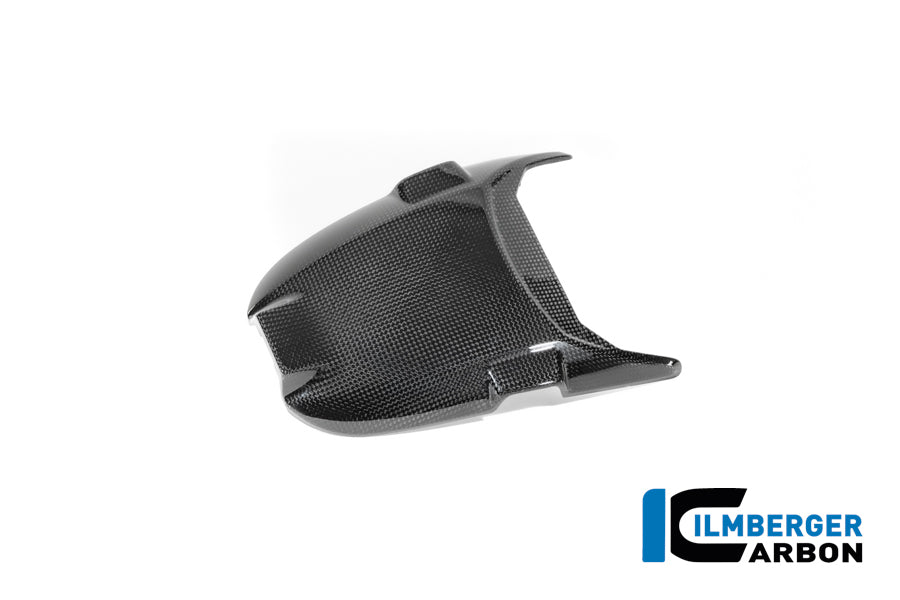 Couvercle du support indicateur en carbone brillant BMW R 12 Nine T 2024+