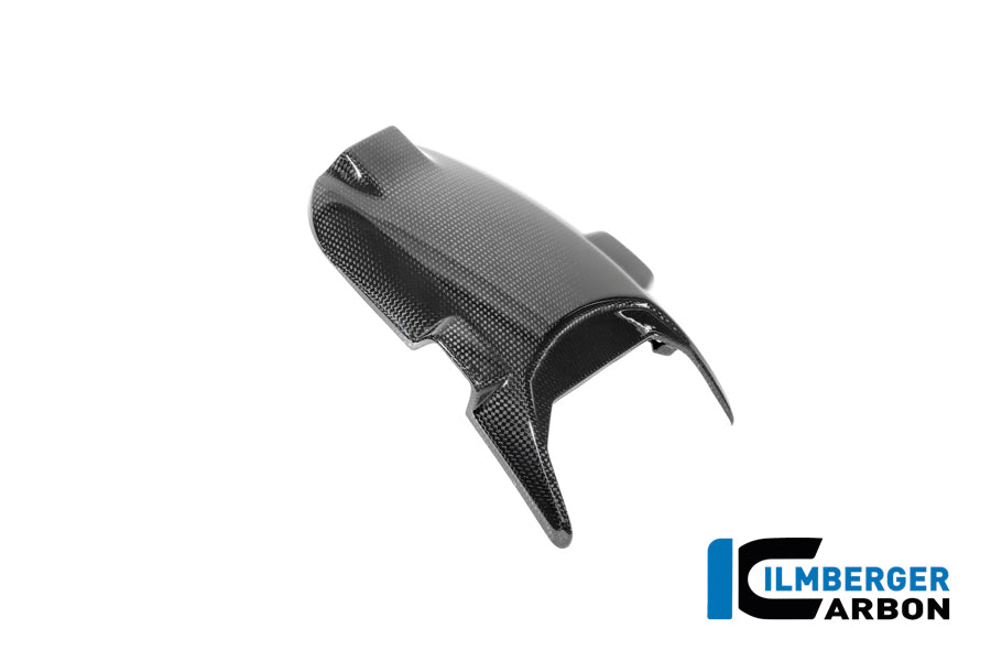Couvercle du support indicateur en carbone brillant BMW R 12 Nine T 2024+