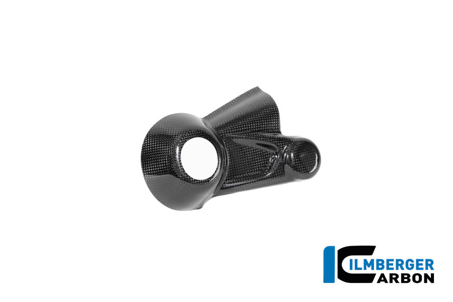 Cardanas beschermer glanzend carbon carbon BMW R12S (2025+)