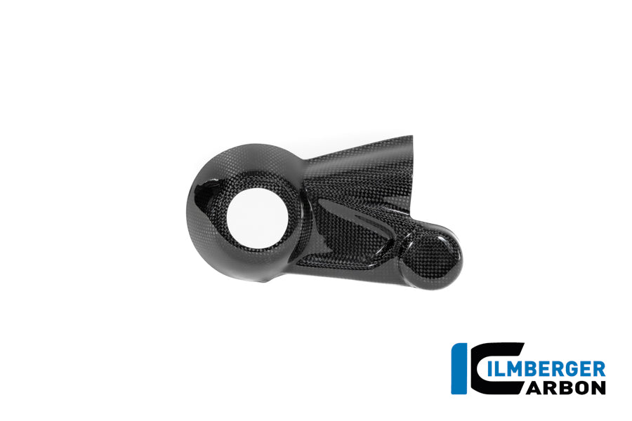 COURT CARDAN COUVERTURE DU CARBON GLOSSY BMW R 12 NINE T 2024+