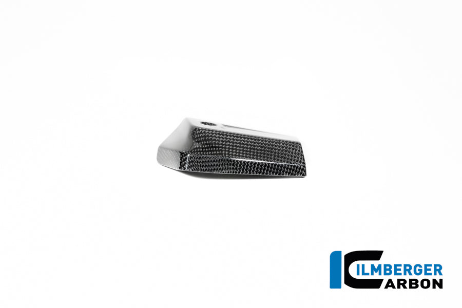 Oliekoeler zijpaneel links glanzend carbon R12 G/S (2025+)