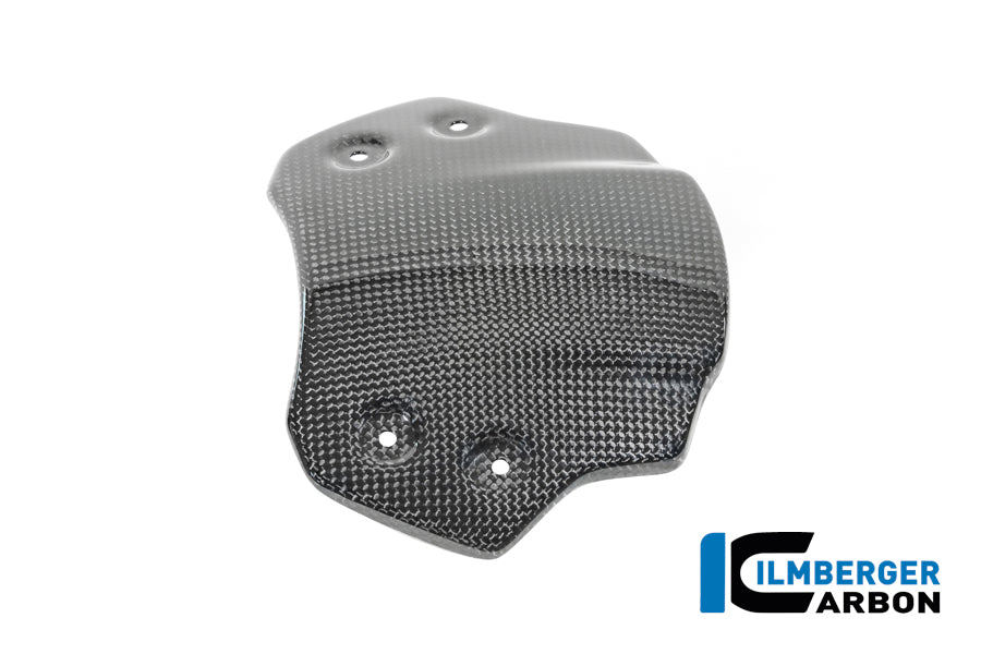 Windscherm glanzend carbon BMW R12S (2025+)