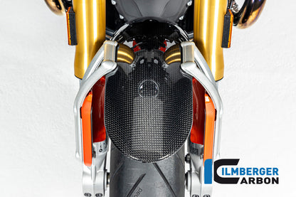 Voorspatbord glanzend carbon R12 BMW Nine T (2025+)