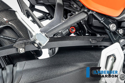 Remleiding cover glanzend carbon carbon BMW R12S (2025+)