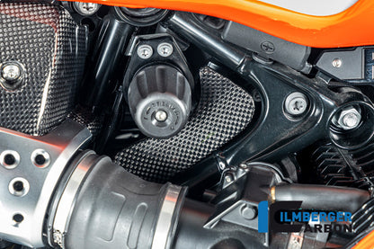 Toolbox Cover glanzend carbon R12 G/S (2025+)