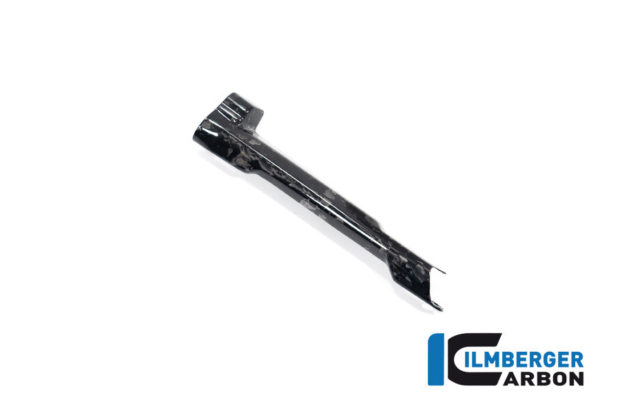 Remleiding beschermer glanzend BDC carbon BMW R1300RS Option 719 Cuyamaca (2025+)