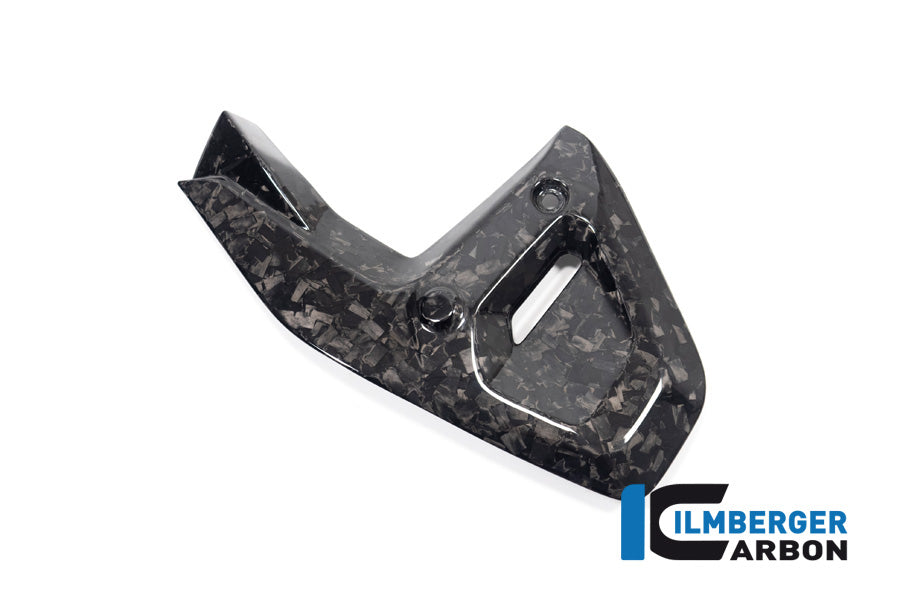 Framecover links glanzend BDC carbon BMW R1300R Exclusive (2025+)