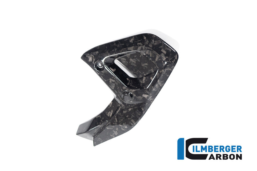 Framecover links glanzend BDC carbon BMW R1300R Option 719 Kilauea (2025+)