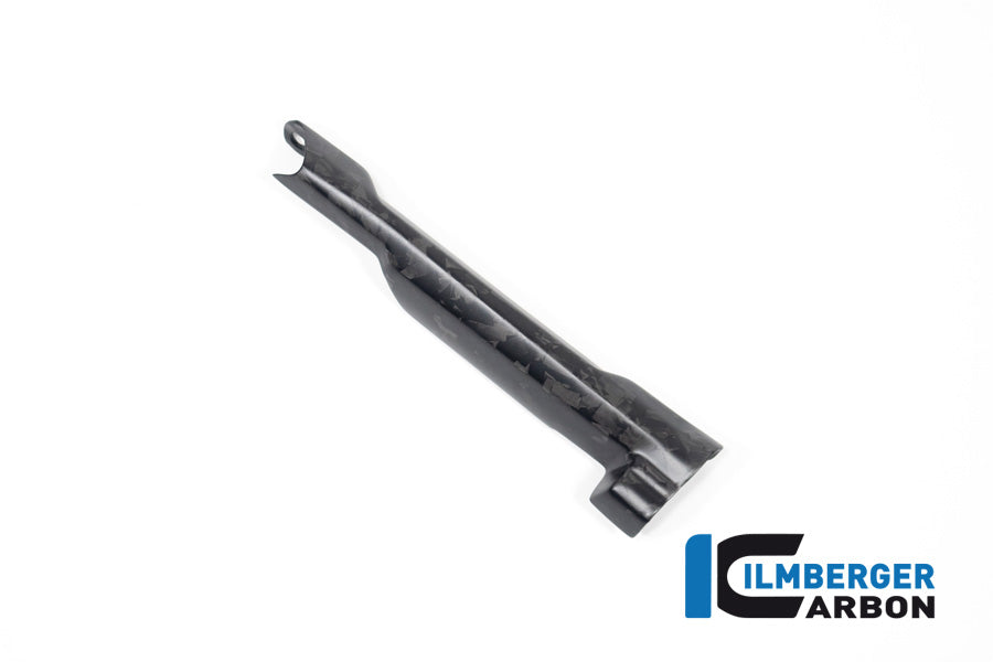 Remleiding beschermer mat BDC carbon BMW R1300RS Triple Black (2025+)