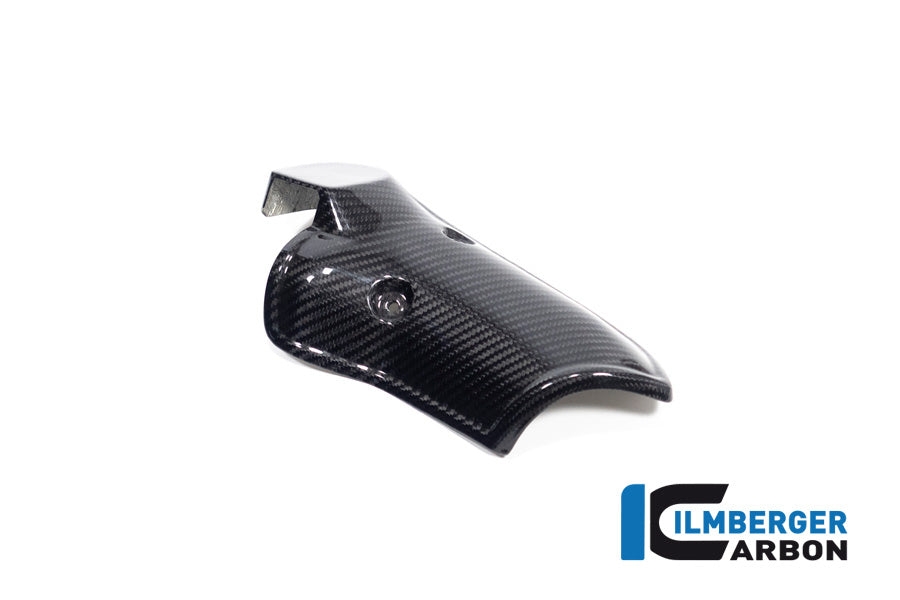 Uitlaat Hitteschild glanzend carbon BMW R1300GS Adventure Trophy 2024+