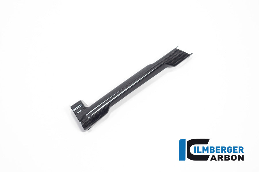 Remleiding cover glanzend carbon BMW R1300R (2025+)