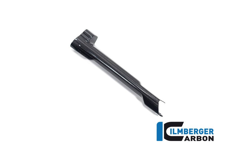 Remleiding cover glanzend carbon BMW R1300R Performance (2025+)