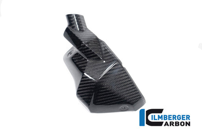 Injector Cover links glanzend carbon BMW R1300GS Adventure Trophy 2024+