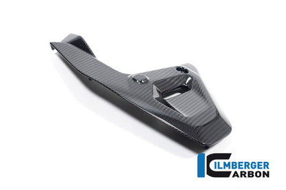 Driehoekige Frame cover links glanzend carbon BMW R1300GS Option 719 Tramuntana 2023+