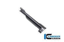 Remleiding cover mat carbon BMW R1300GS Adventure Option 719 Karakorum 2024+
