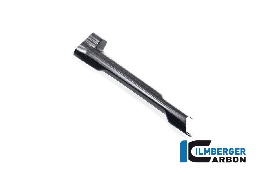 Remleiding cover mat carbon BMW R1300R Performance (2025+)