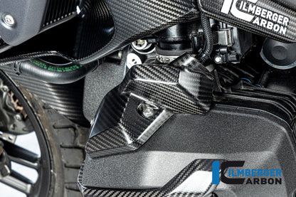 Injector cover links mat carbon BMW R1300R (2025+)