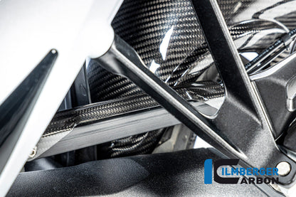 Remleiding cover glanzend carbon BMW R1300R Performance (2025+)