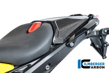Duozit afdekking carbon hoogglans BMW R1300RS Performance (2025+)