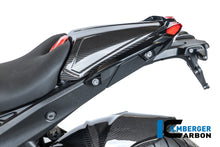 Duozit afdekking carbon hoogglans BMW R1300R Option 719 Kilauea (2025+)